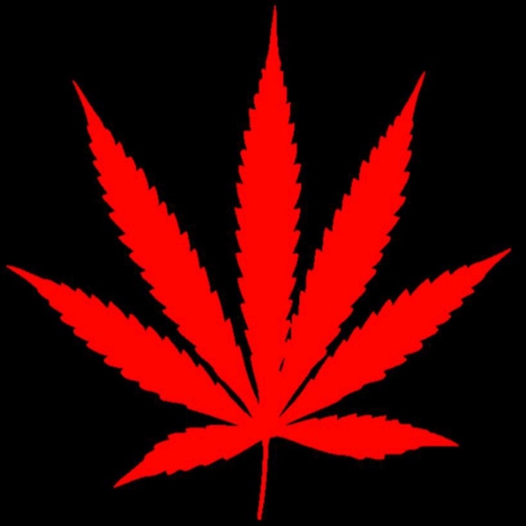 Meet your Posher, Nathaniel - Picture 1 of 1